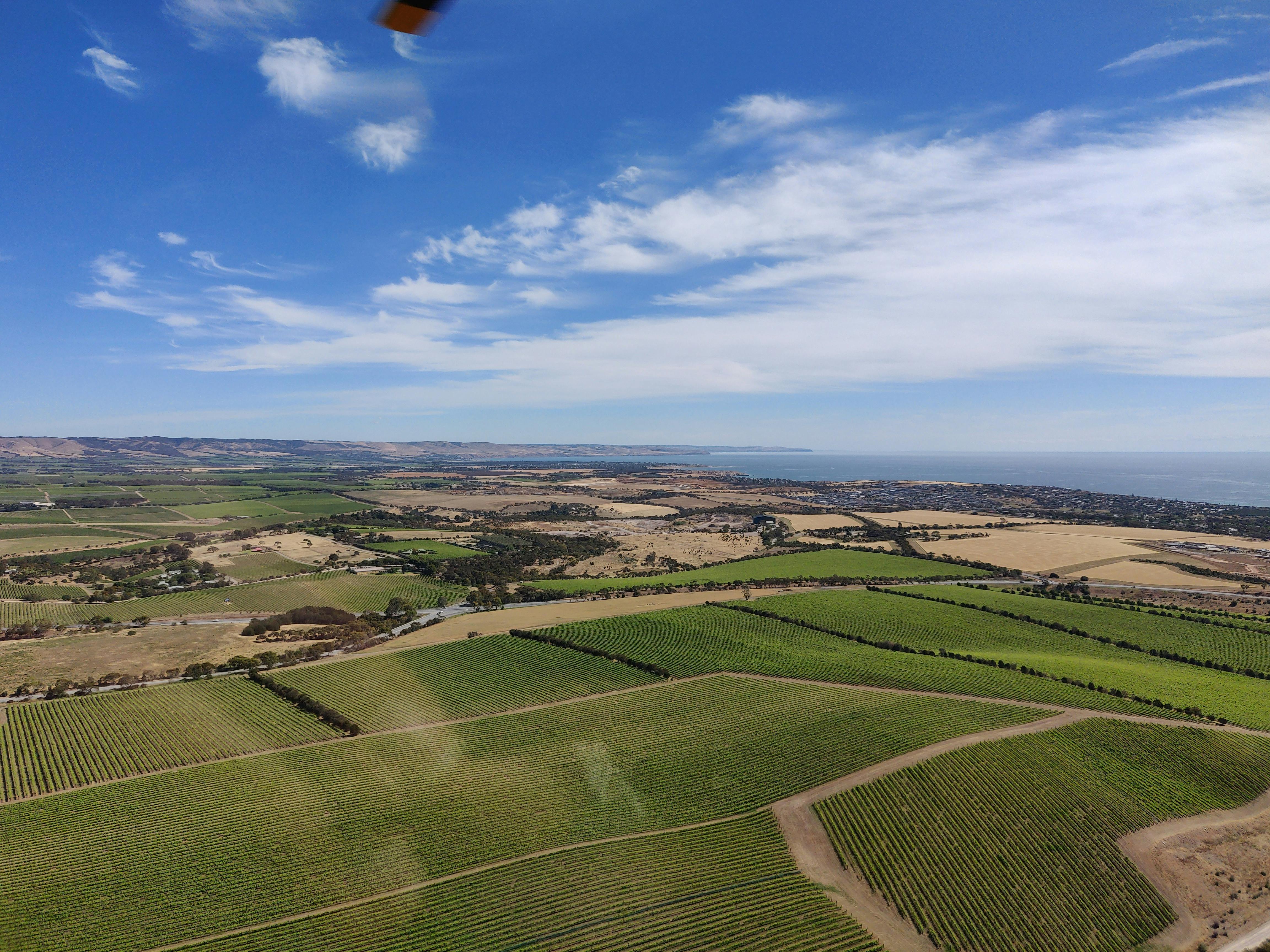 Views over McLaren Vale