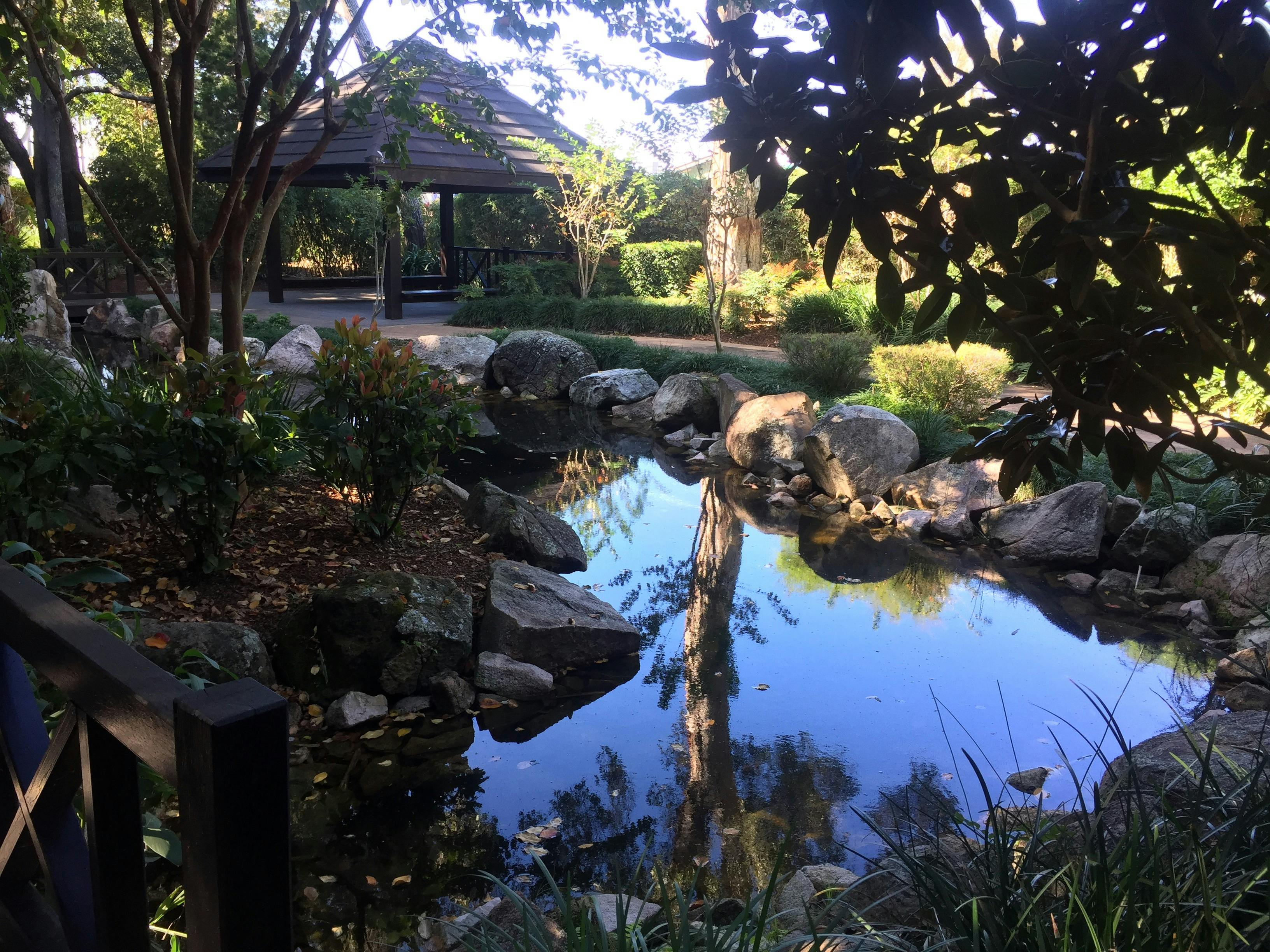 Hervey Bay Botanic Gardens and Orchid House Visit Fraser Coast