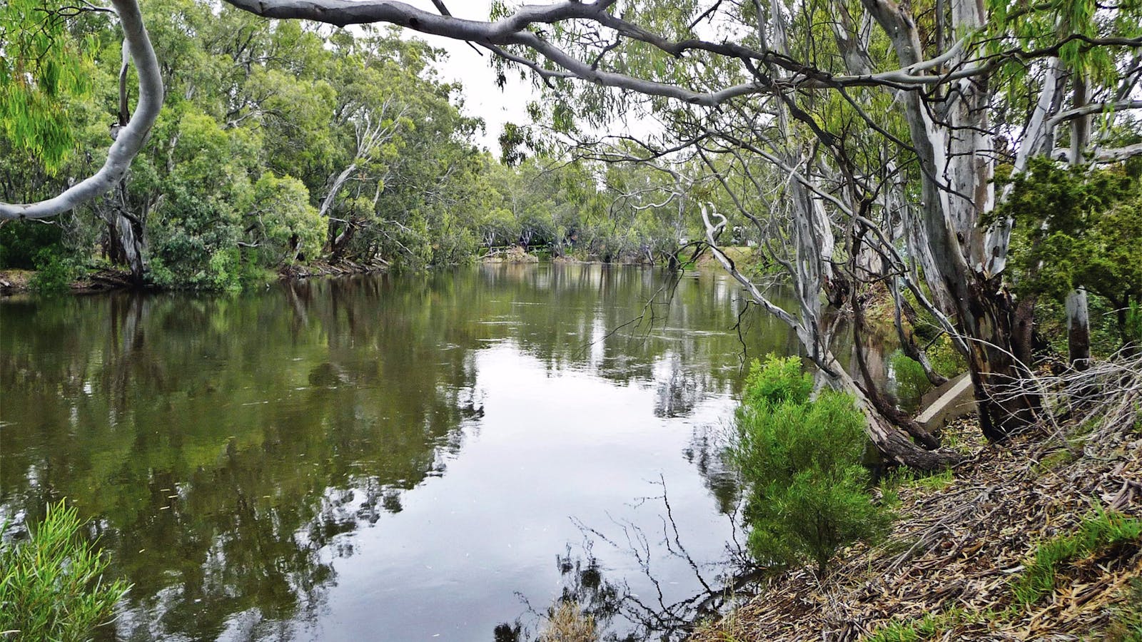Orara River