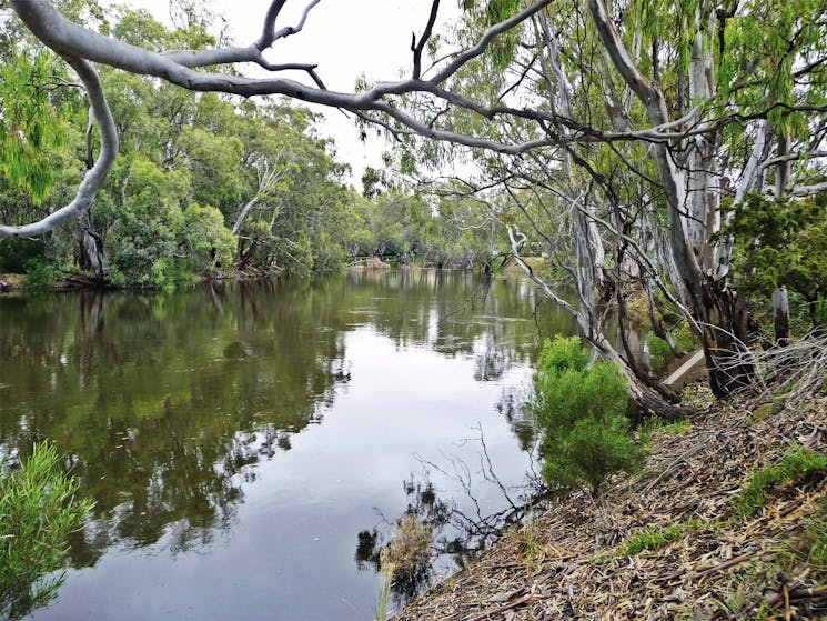 Orara River