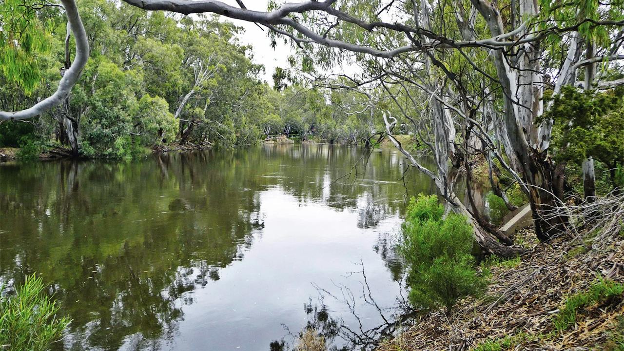 Orara River