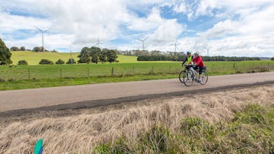 Two cyclists passing 5 wind turbines.
