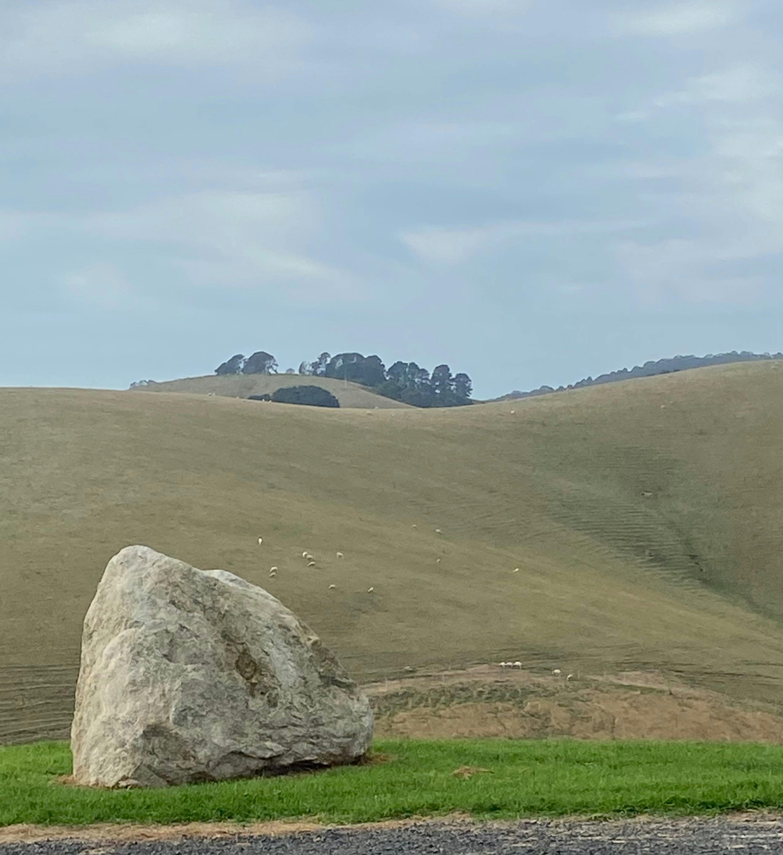 Scene rock and paddock