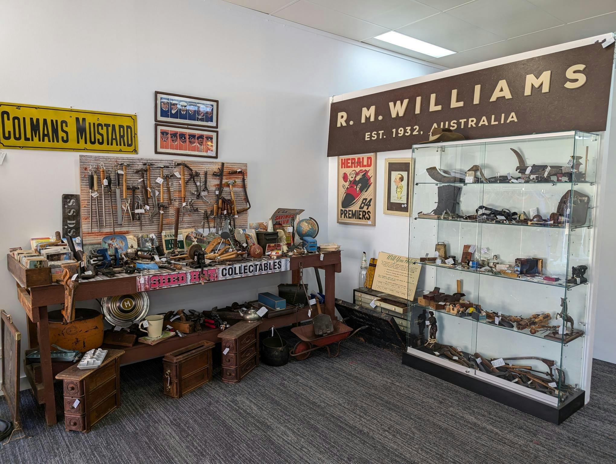 Shed Hot Collectables