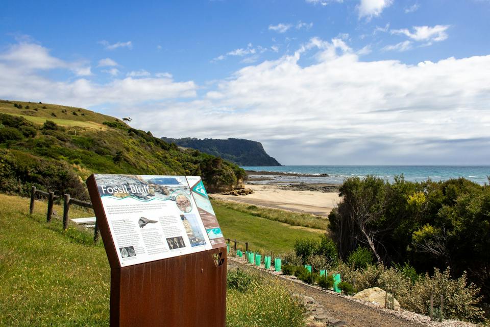 Fossil Bluff, Wynyard photo