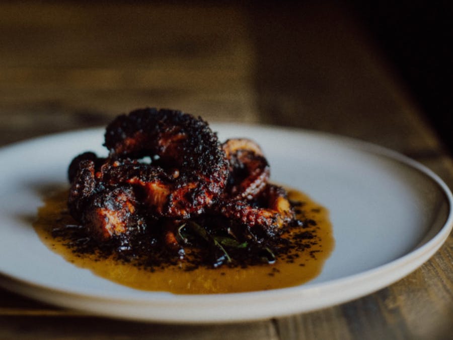 Grilled Octopus, nduja, burnt honey