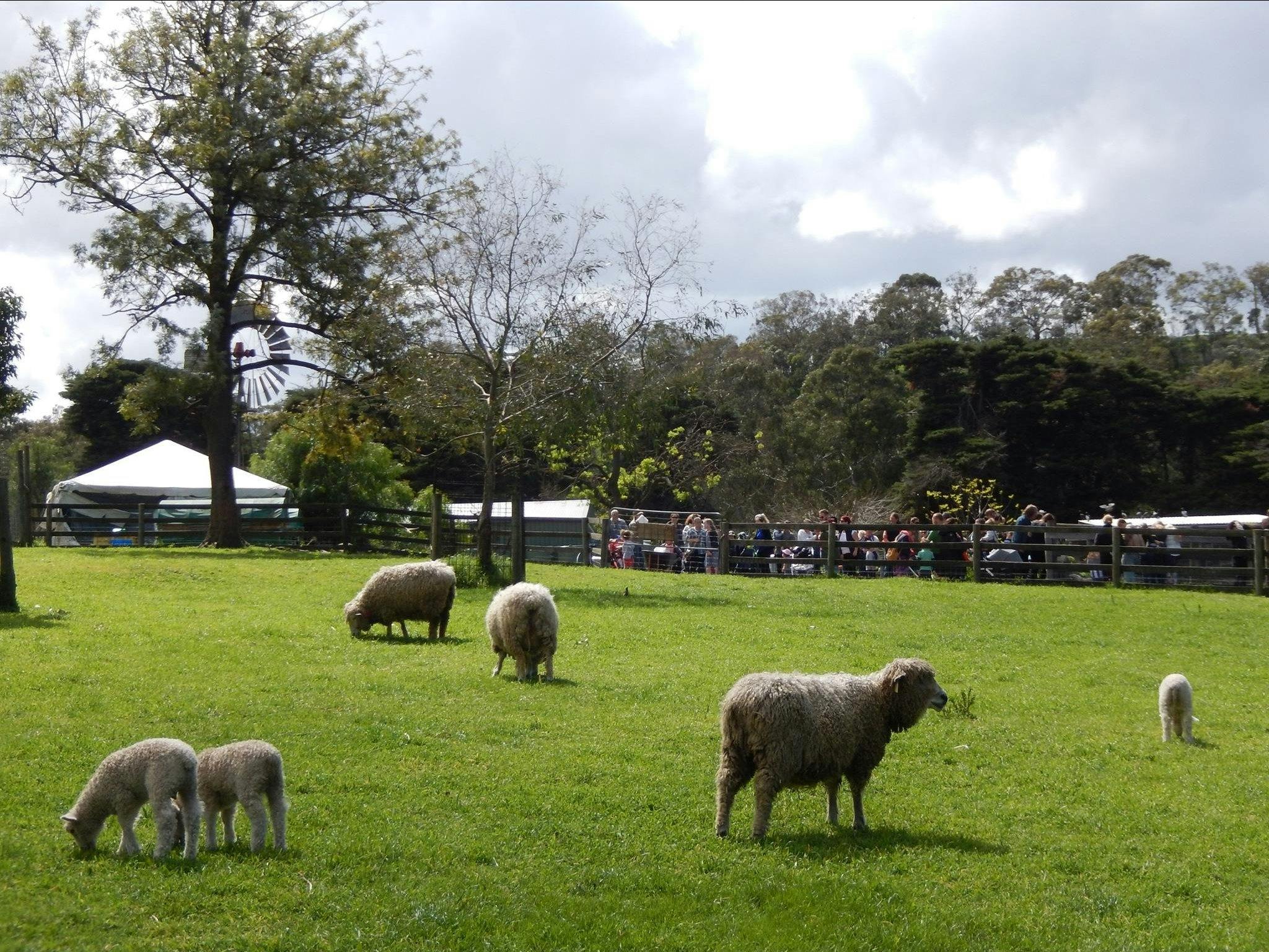 Collingwood Children's Farm