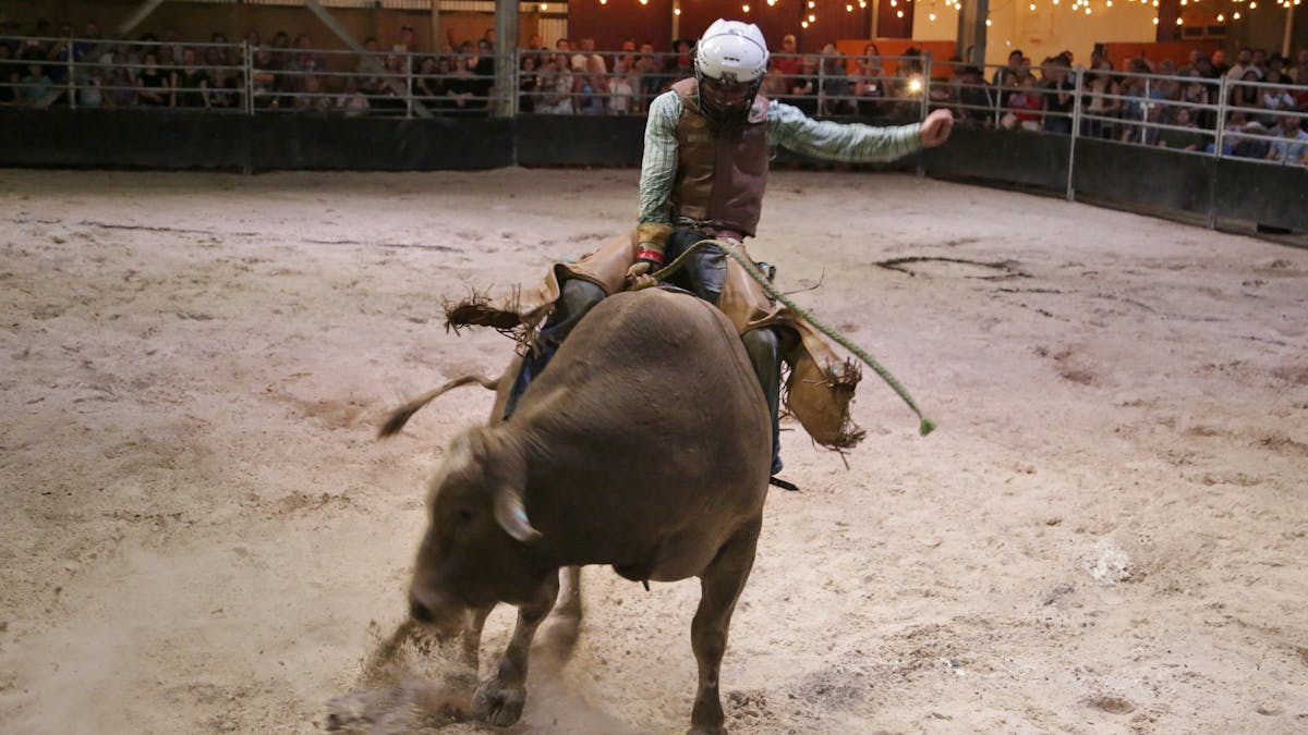 Bull Riding