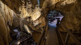 Rhino passage on Cathedral Cave tour