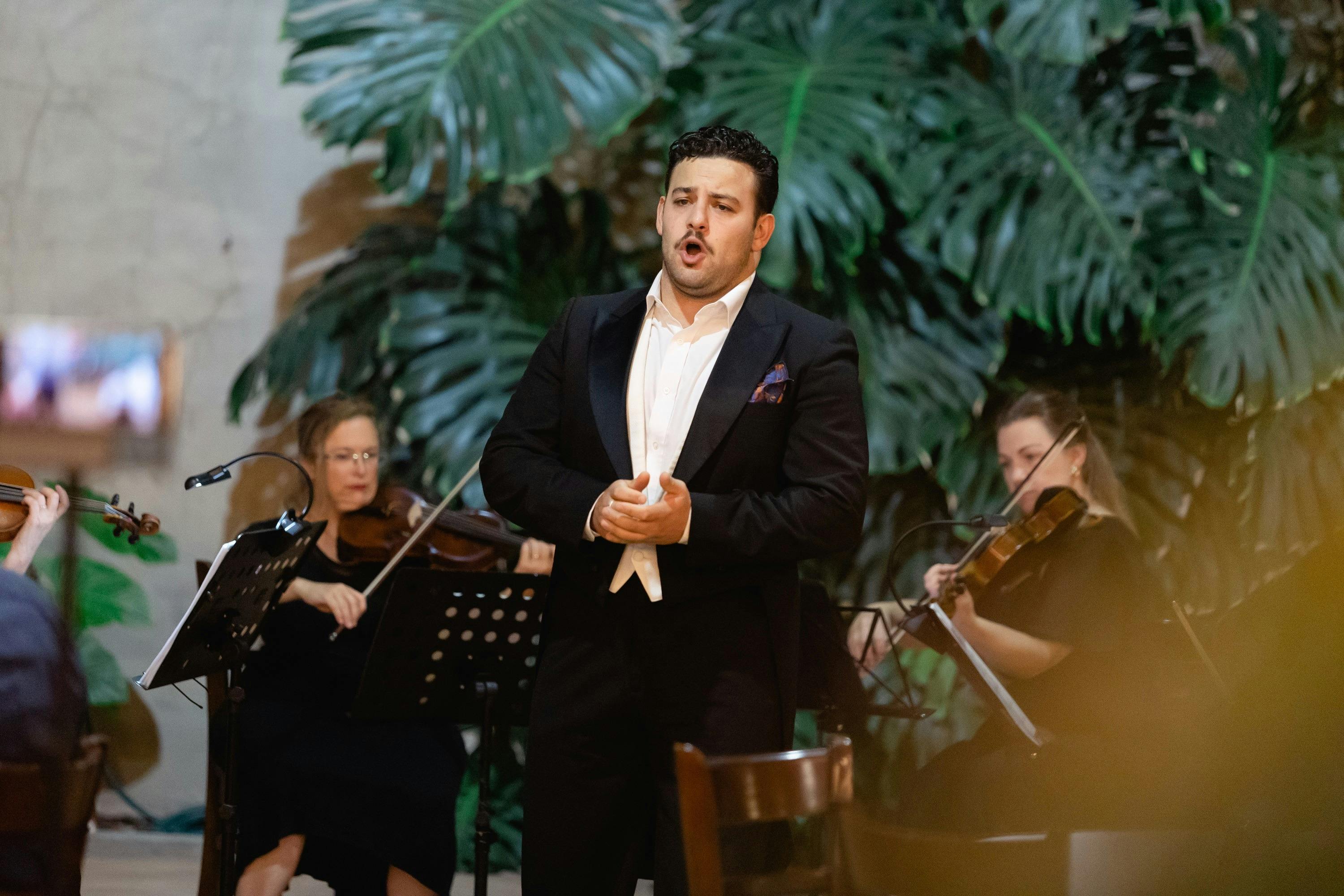 Opera in the Courtyard