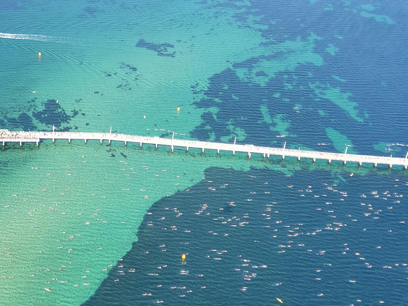 Image for Busselton Jetty Swim