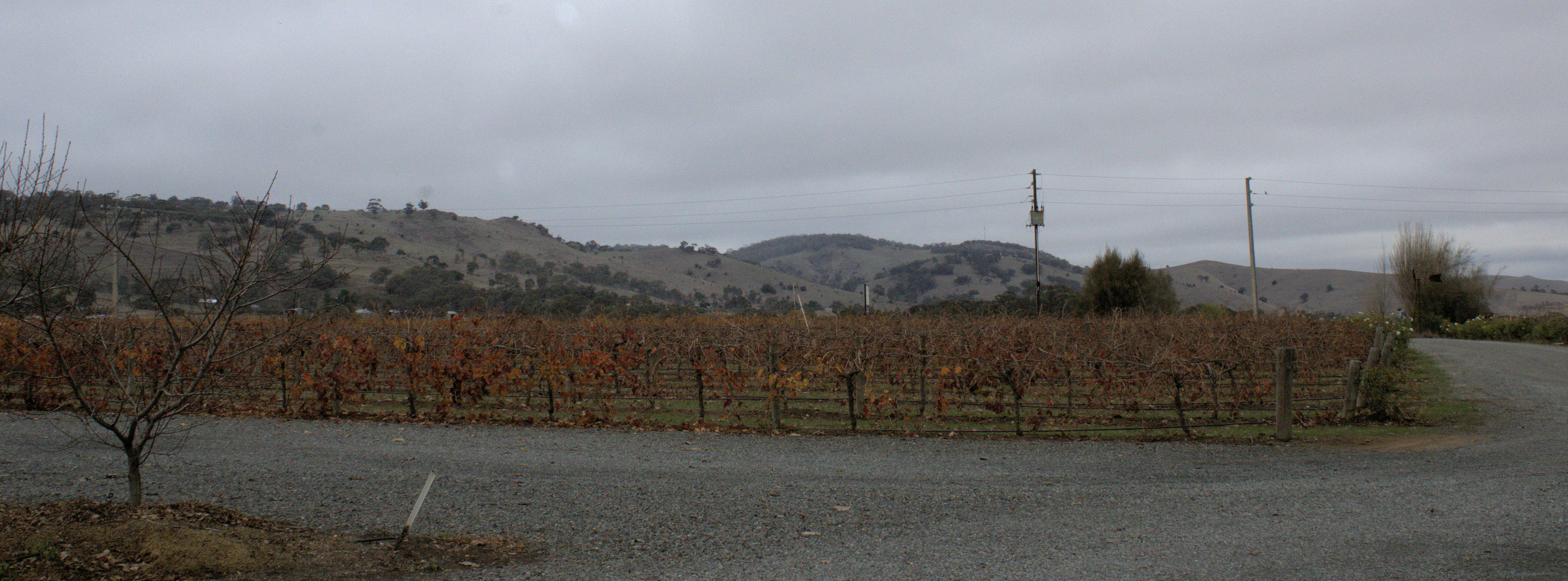 All Valley Wine Tours - Adelaide Hills