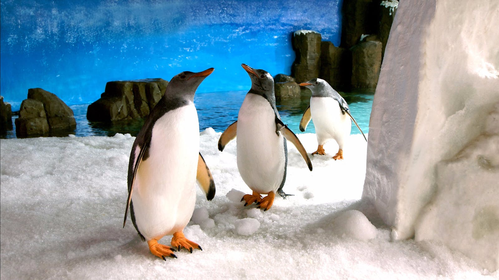SEA LIFE Melbourne Aquarium