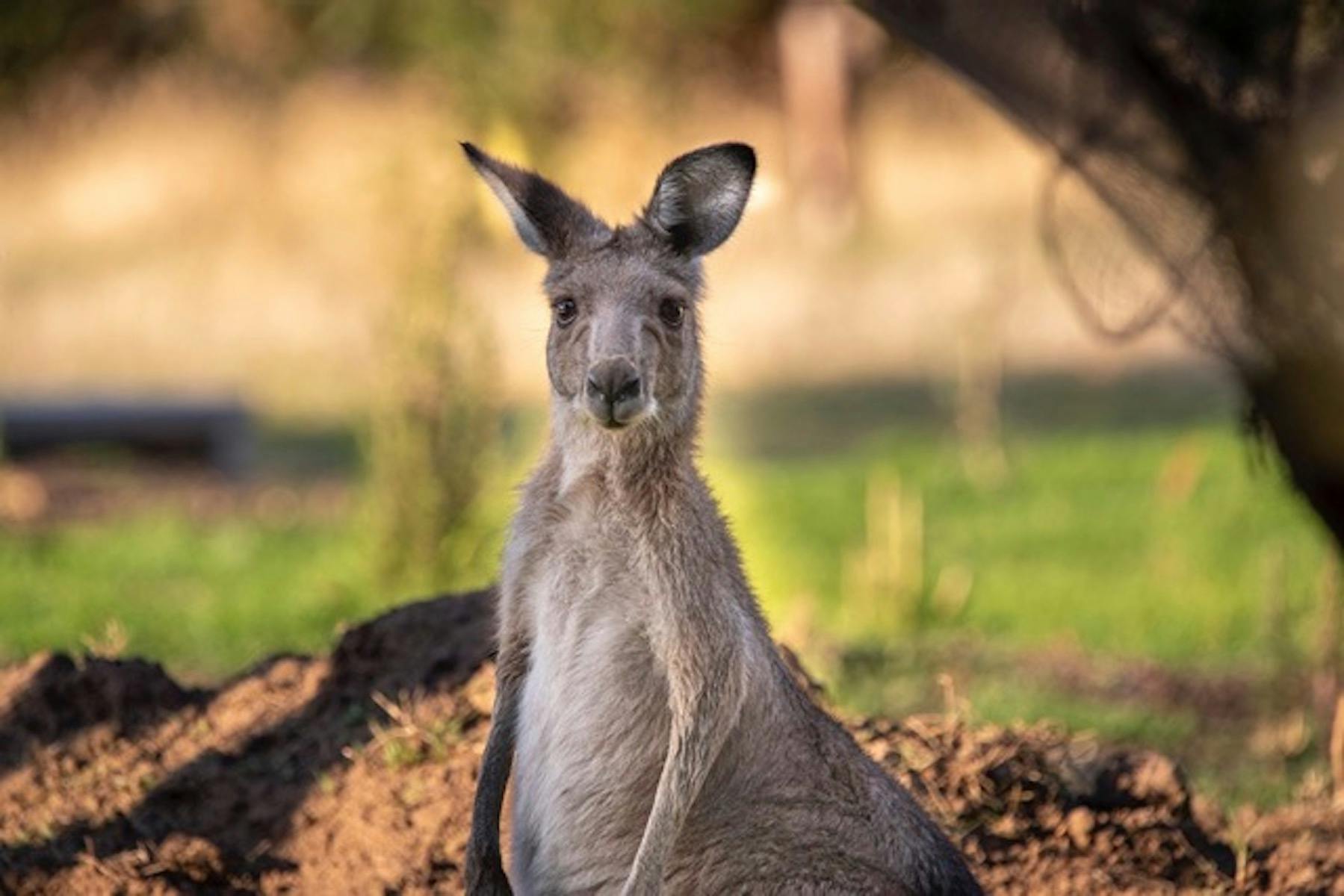 Grampians Easter  Yoga  Retreat