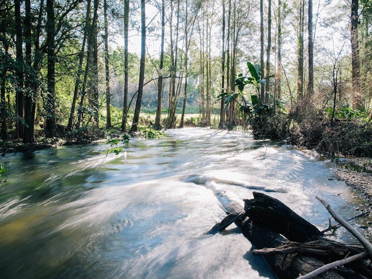 Misty Mountain Wilderness Health Retreat_Bellbrook_Macleay Valley Coast