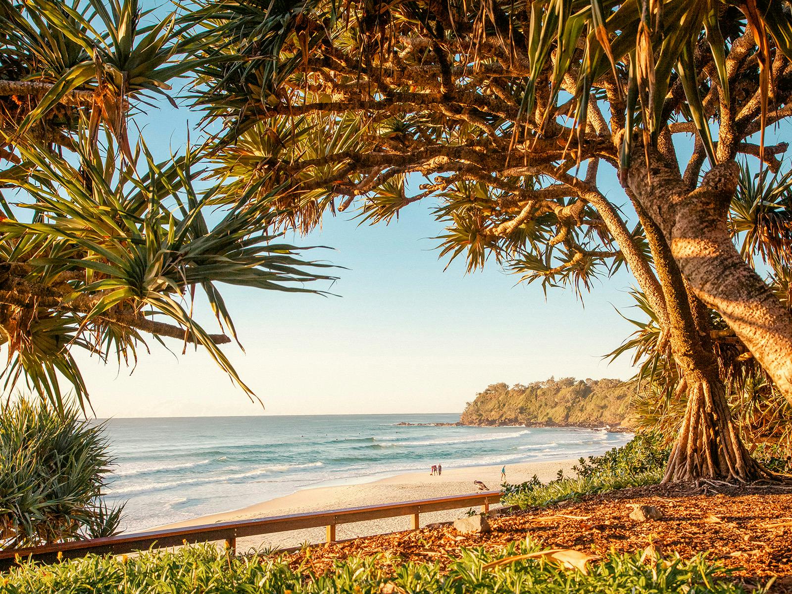 Looking south from Coolum foreshore through the pandanus palms to Point Perry.