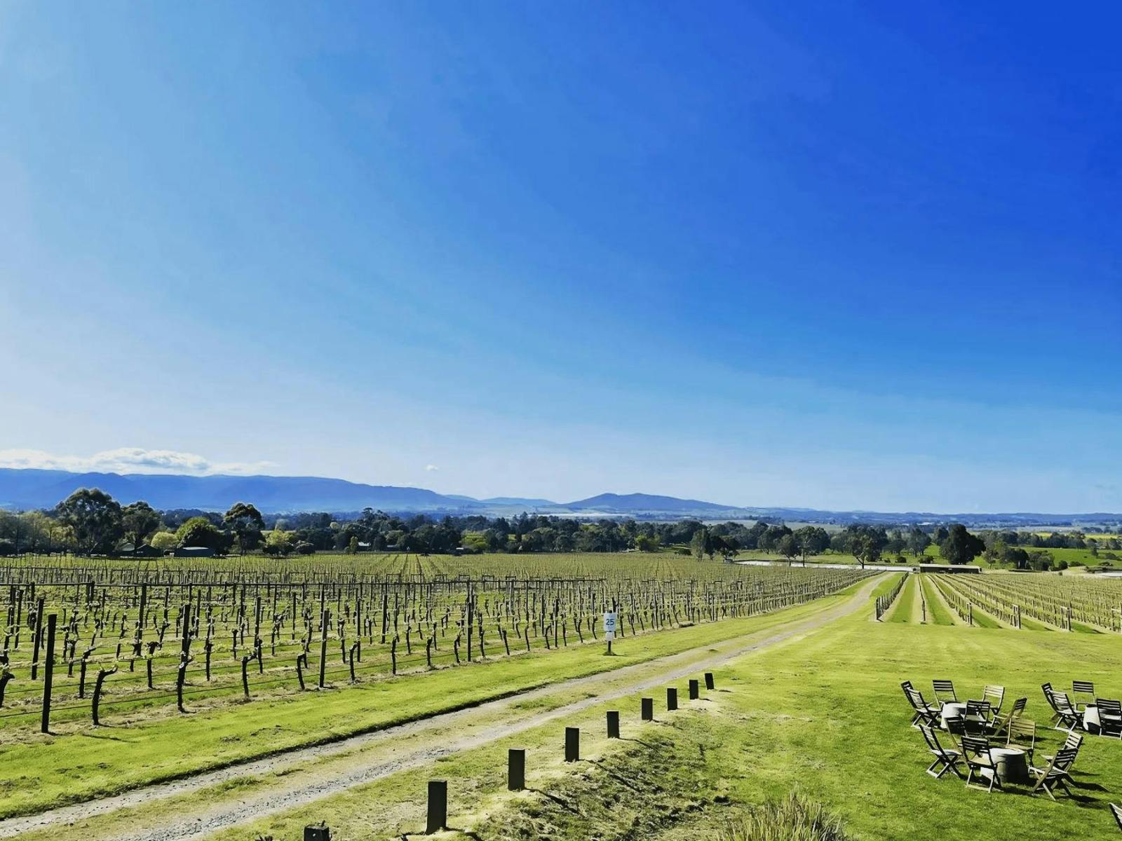 Mystery Picnic  Yarra Valley