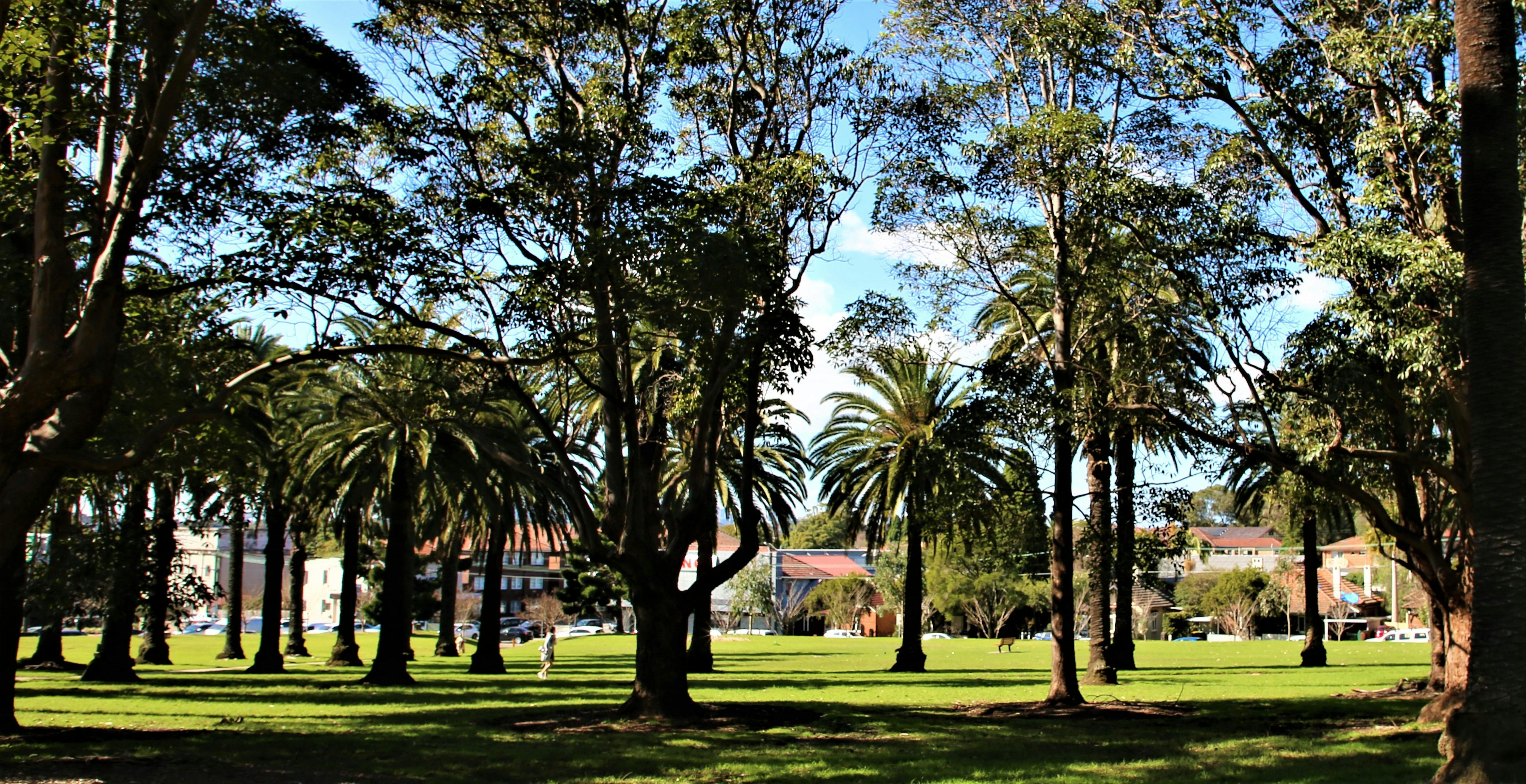 Ashfield Park