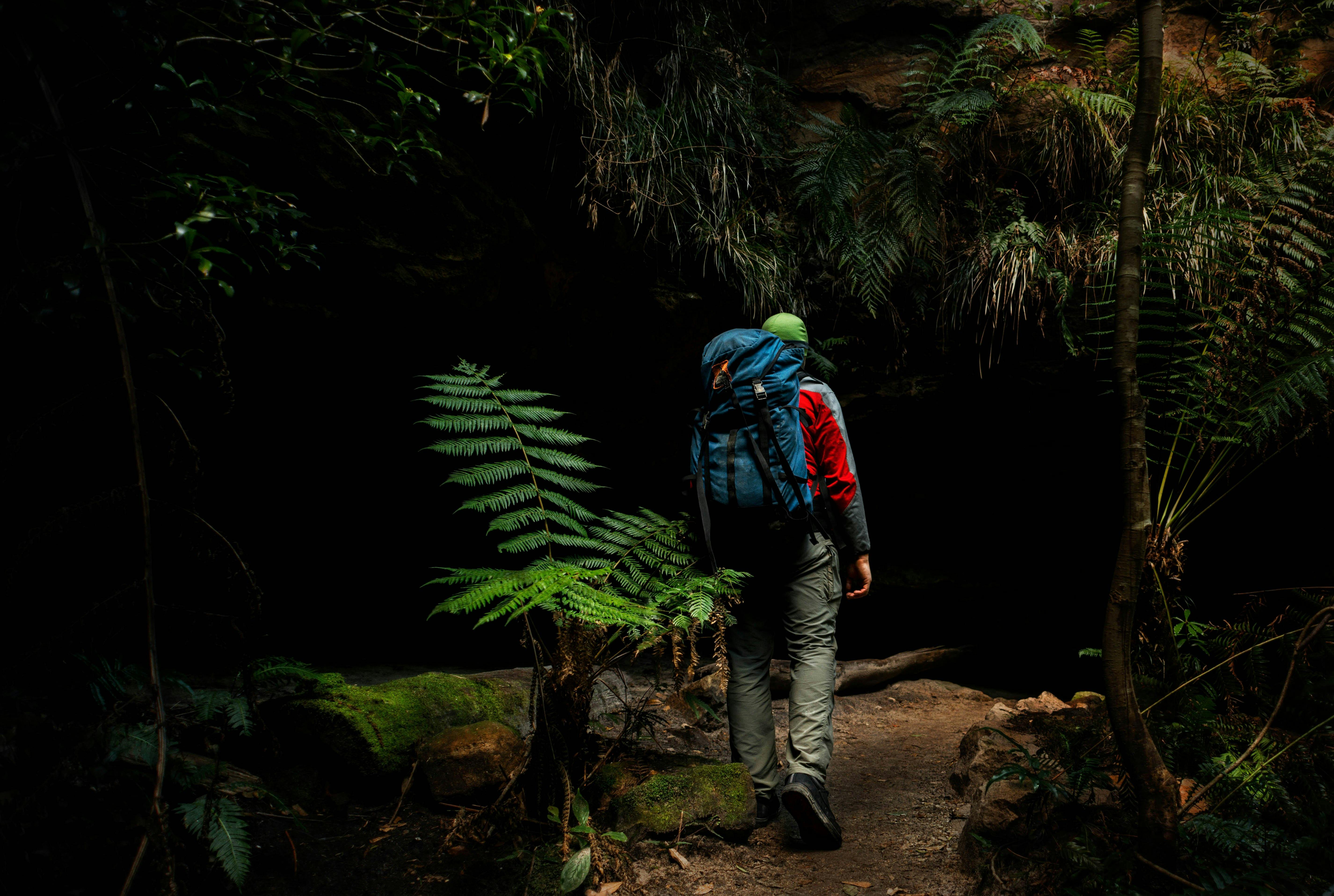 Grand Cliff Top Guided Full Day Walk