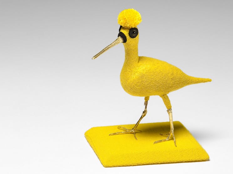 hand crocheted lambswool over, taxidermied Australian Snipe (Gallinago hardwickii), Australian red c