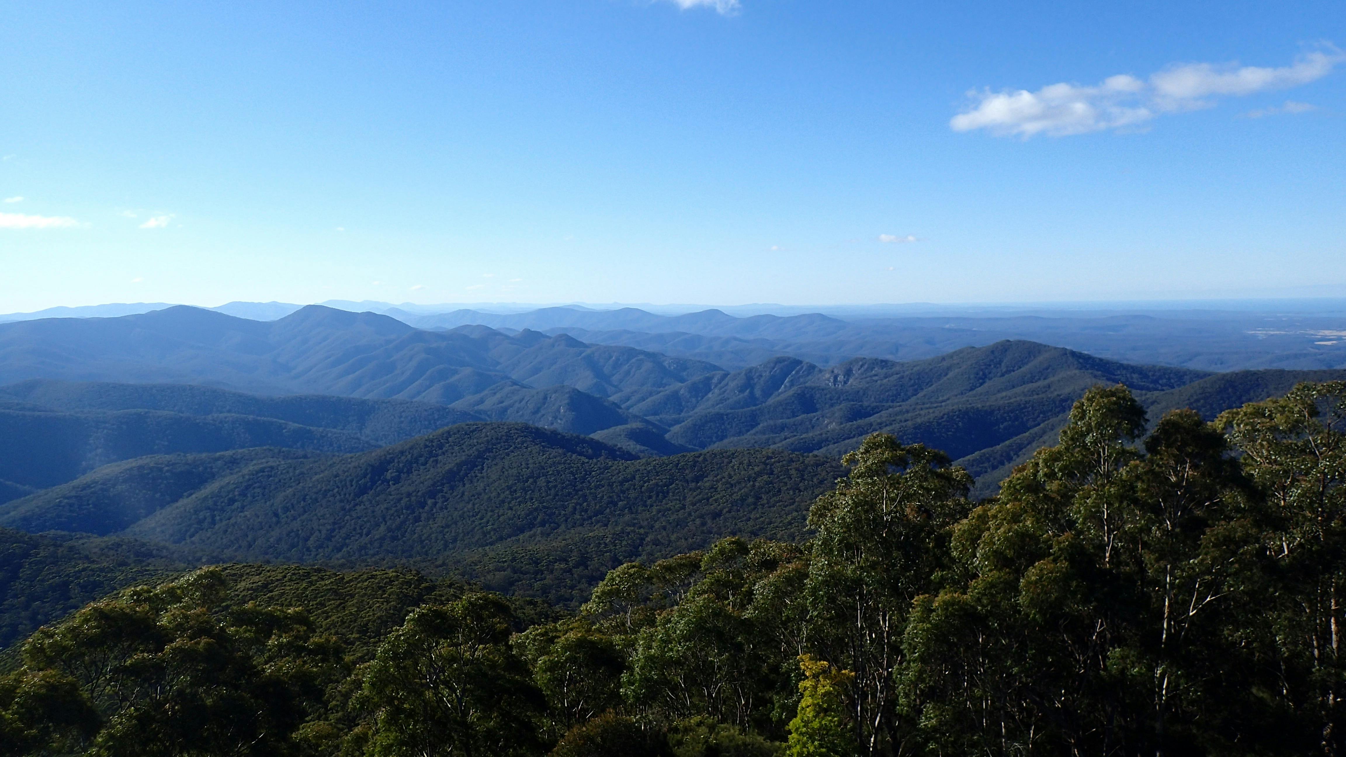 Allow yourself time to reflect in the stillness, and glorious sounds of a NSW national park.