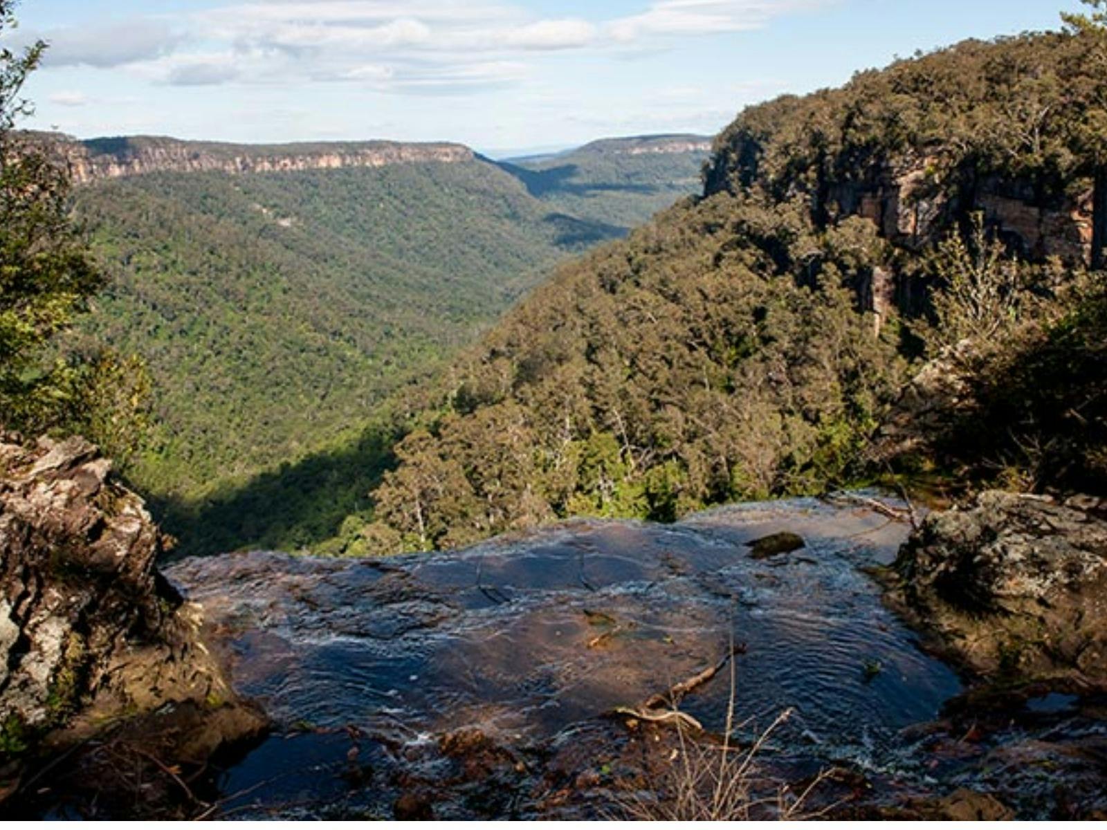 ガンベルズレスト保護区
