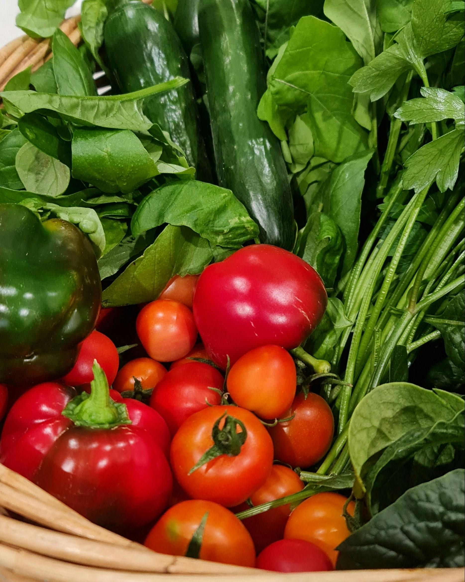 Fresh Organic Produce Grown Seasonally and served at Audrey's Cafe