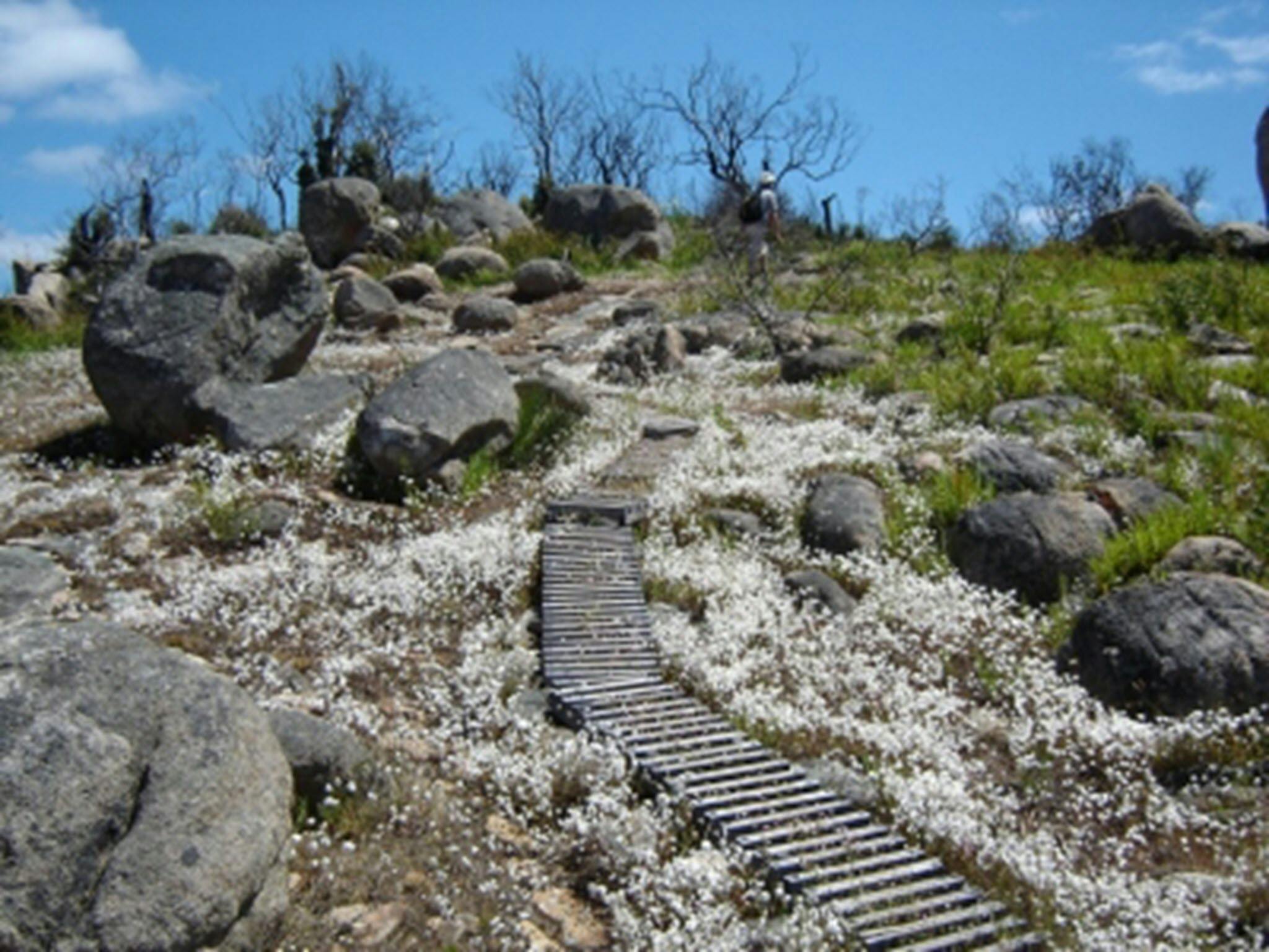 Sullivan Rock to Mt Cooke, Darling Range