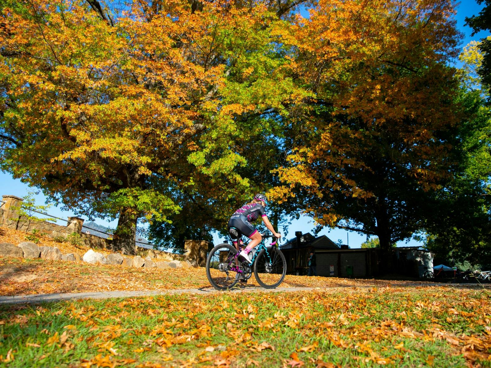 Murray to Mountains Rail Trail