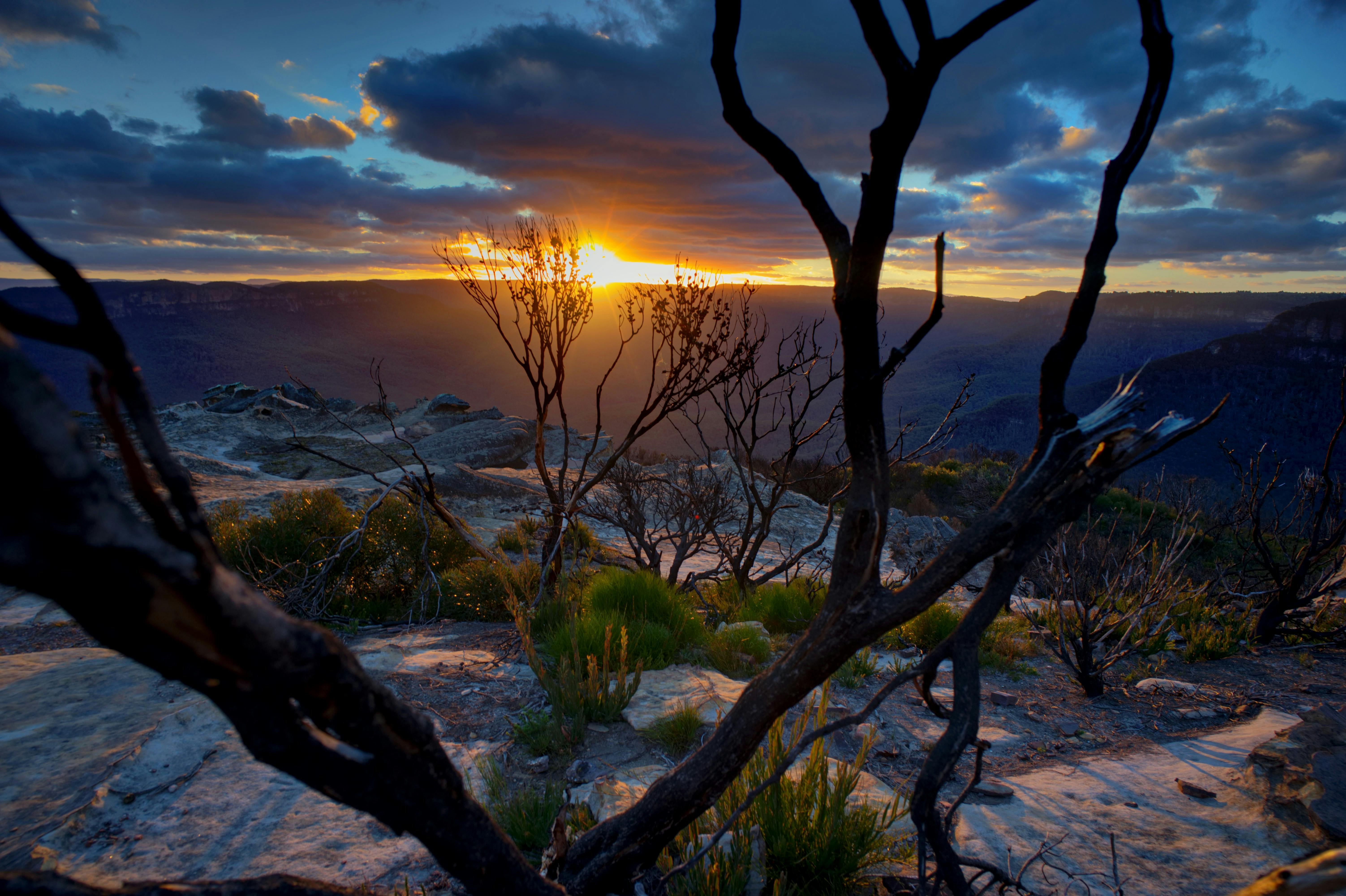Blue Mountains small groups