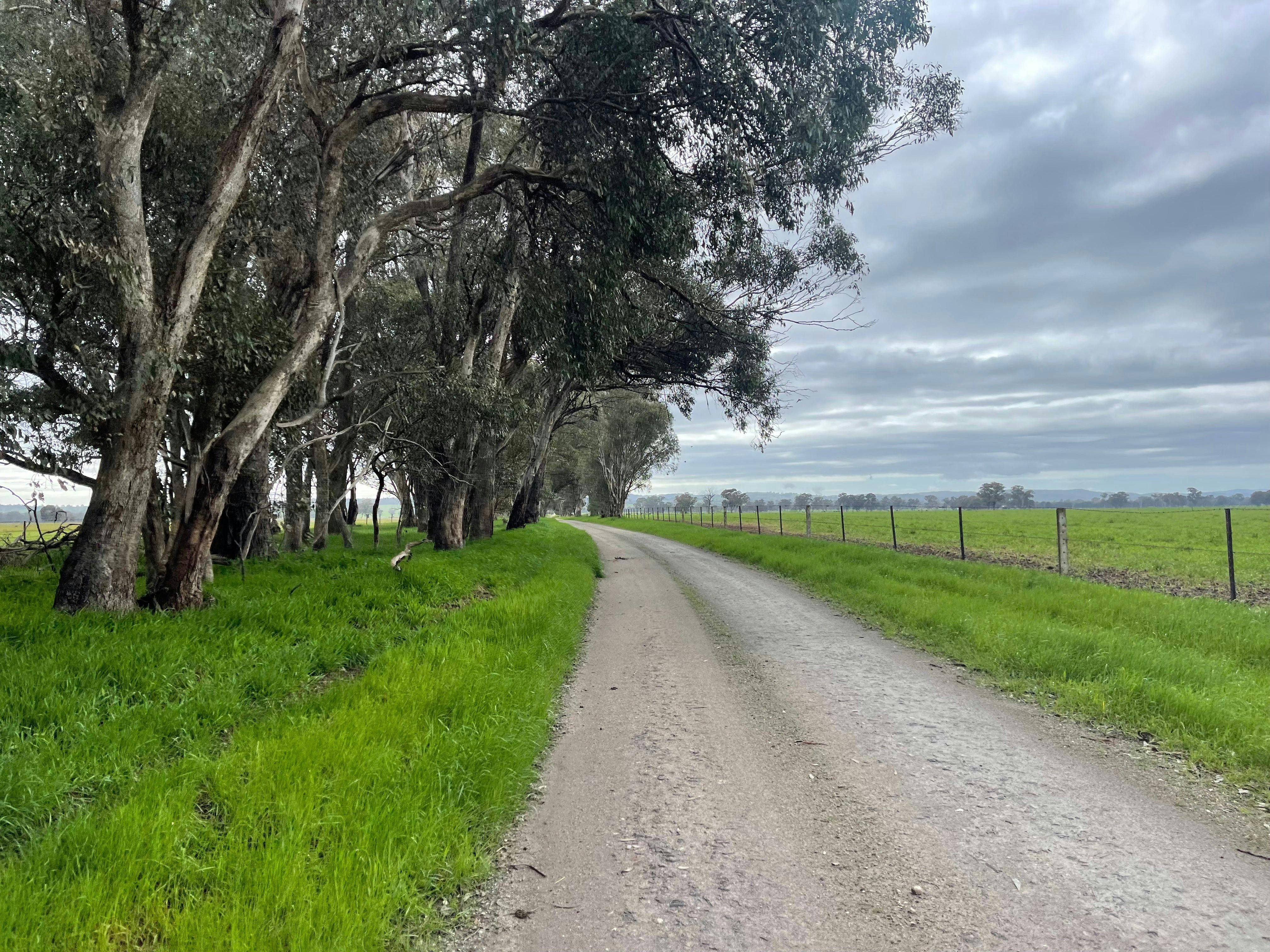Eldorado - Wangaratta Loop