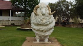 Blackall Tourism