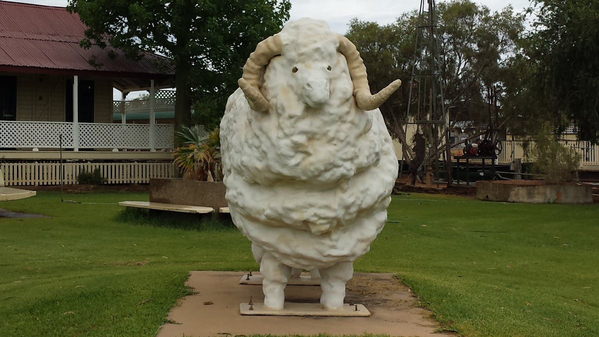 Blackall Tourism