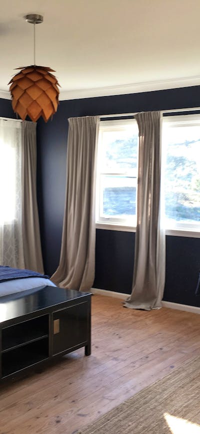 Big sunny bedroom with dark blue walls & light timber floor. King bed & daybed, colourful cushions.