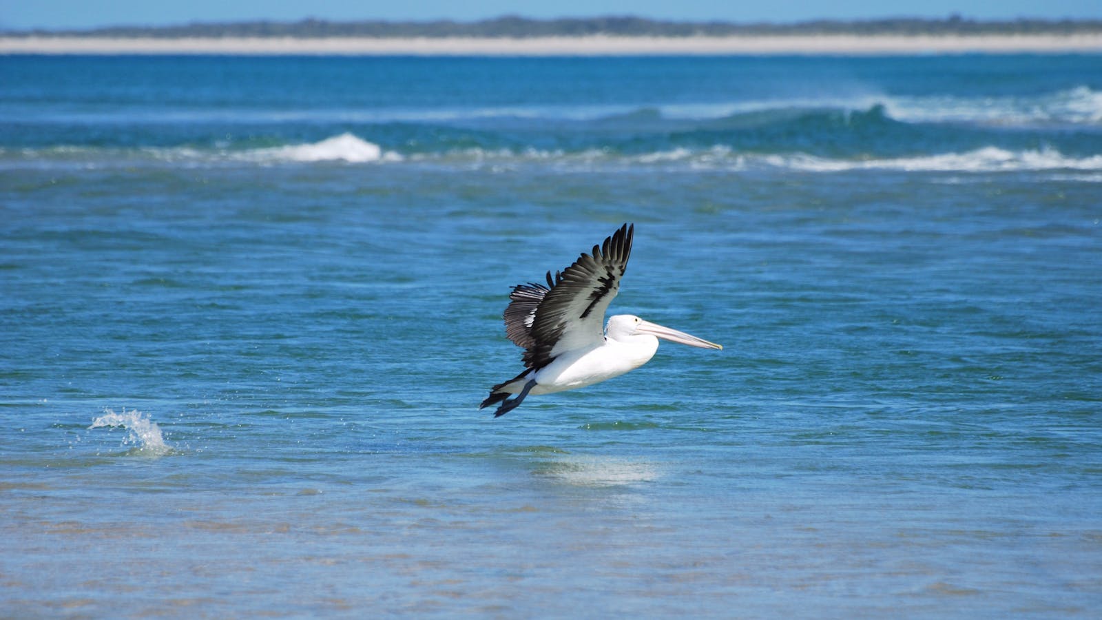 Drive Discovery North Flinders Island
