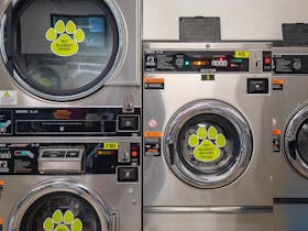 pet blanket washer & dryer