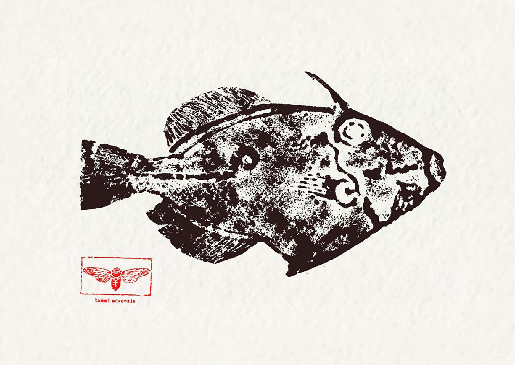 Tammi McKenzie, Leatherjacket, Meuschenia freycineti 29x21cm Acrylic handprinted on paper 1/6 Brown