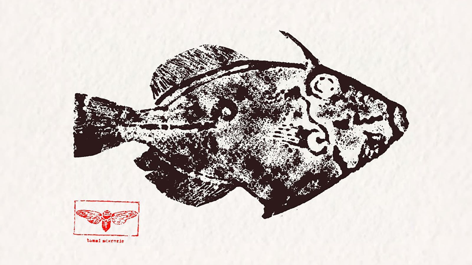 Tammi McKenzie, Leatherjacket, Meuschenia freycineti 29x21cm Acrylic handprinted on paper 1/6 Brown