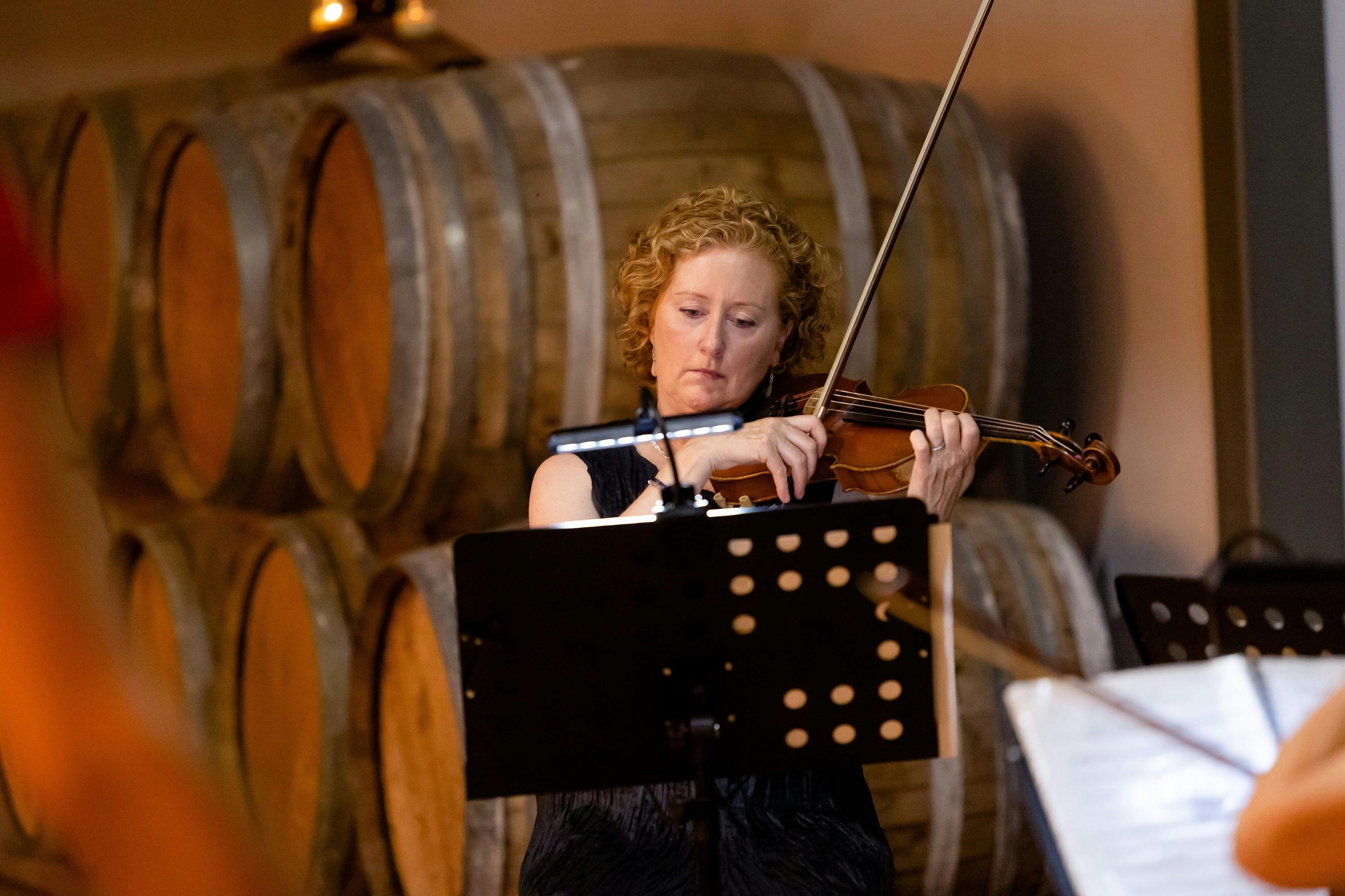 Opera in the Courtyard