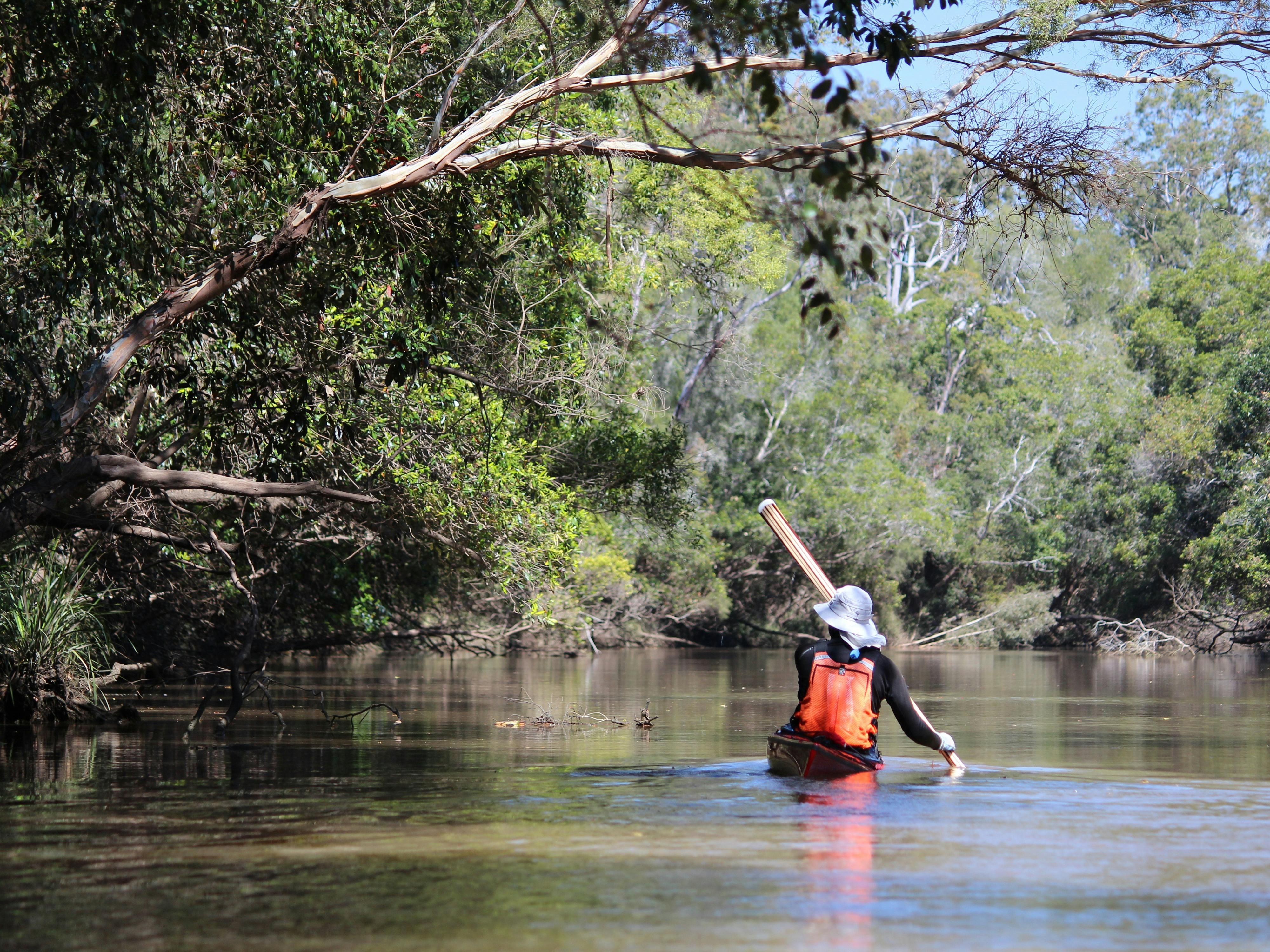 Woman paddling up the creek.
