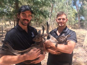 Max and Peter Collett holding two rescued joeys in their arms in the Woodstock Wildlife Sanctuary.