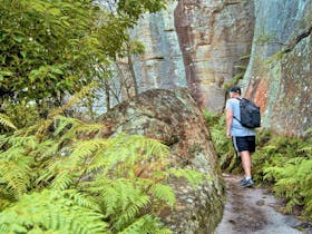 Wolli Creek Walking Track