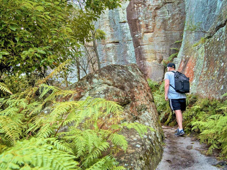 Wolli Creek Walking Track, Wolli Creek Regional Park. Photo: John Spencer