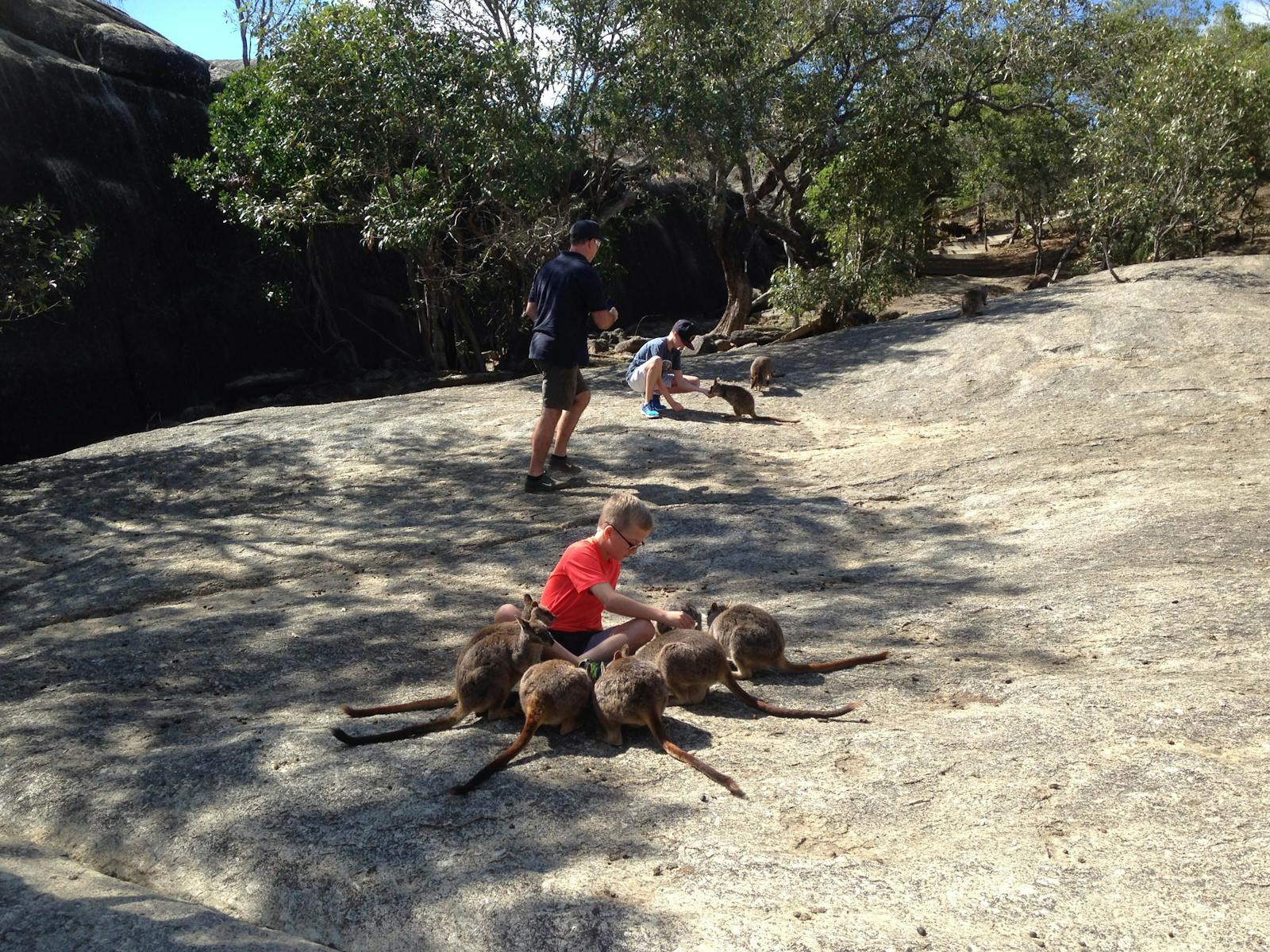 Cant do this anywhere else in  Queensland or Australia