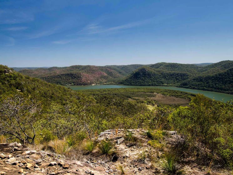 Marramarra National Park, Canoelands Ridge track. Photo: John Spencer/NSW Government