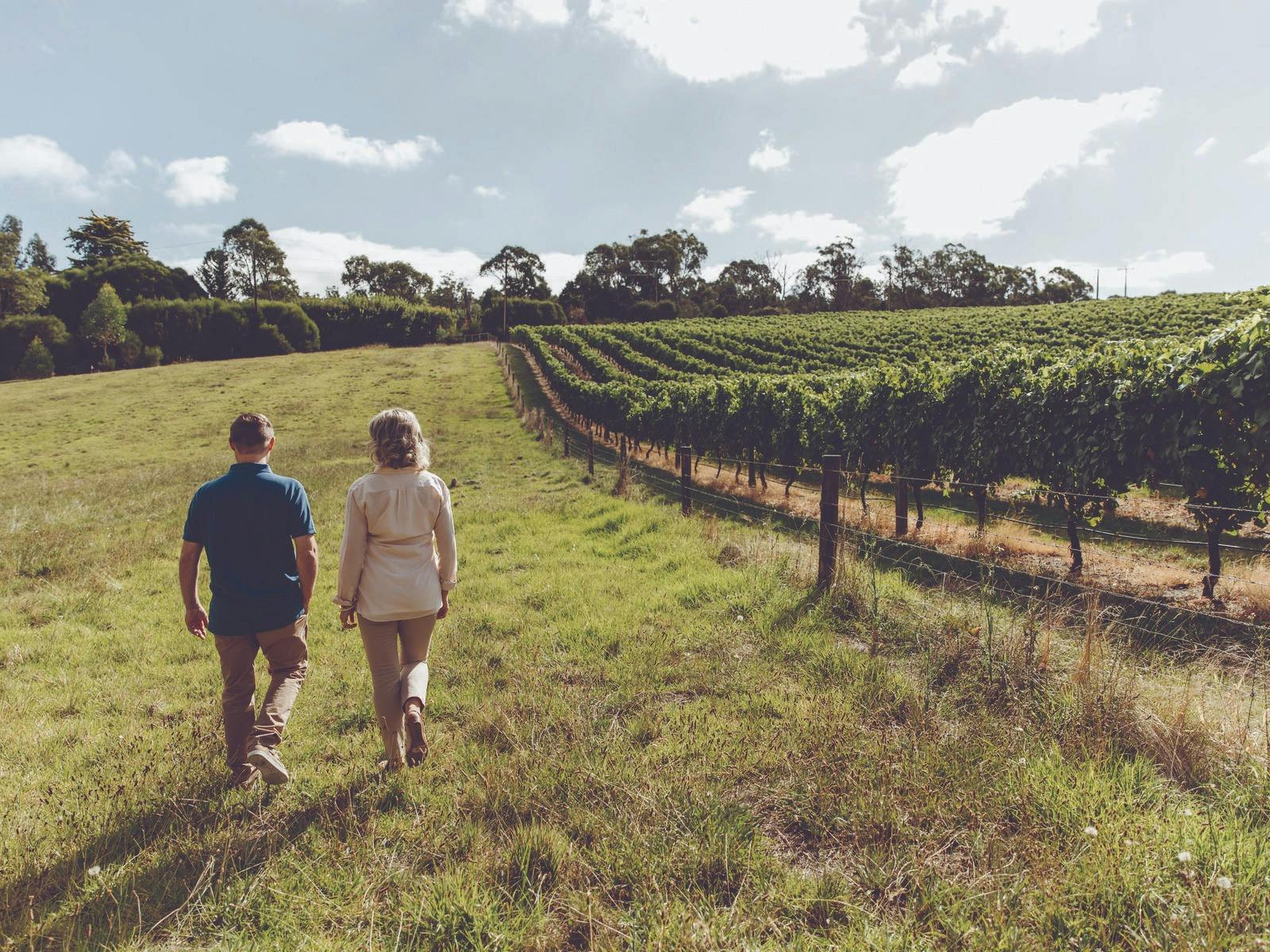 Barossa Valley