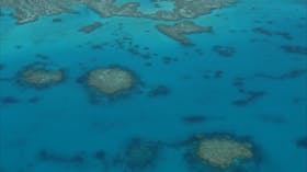 Swain Reefs
