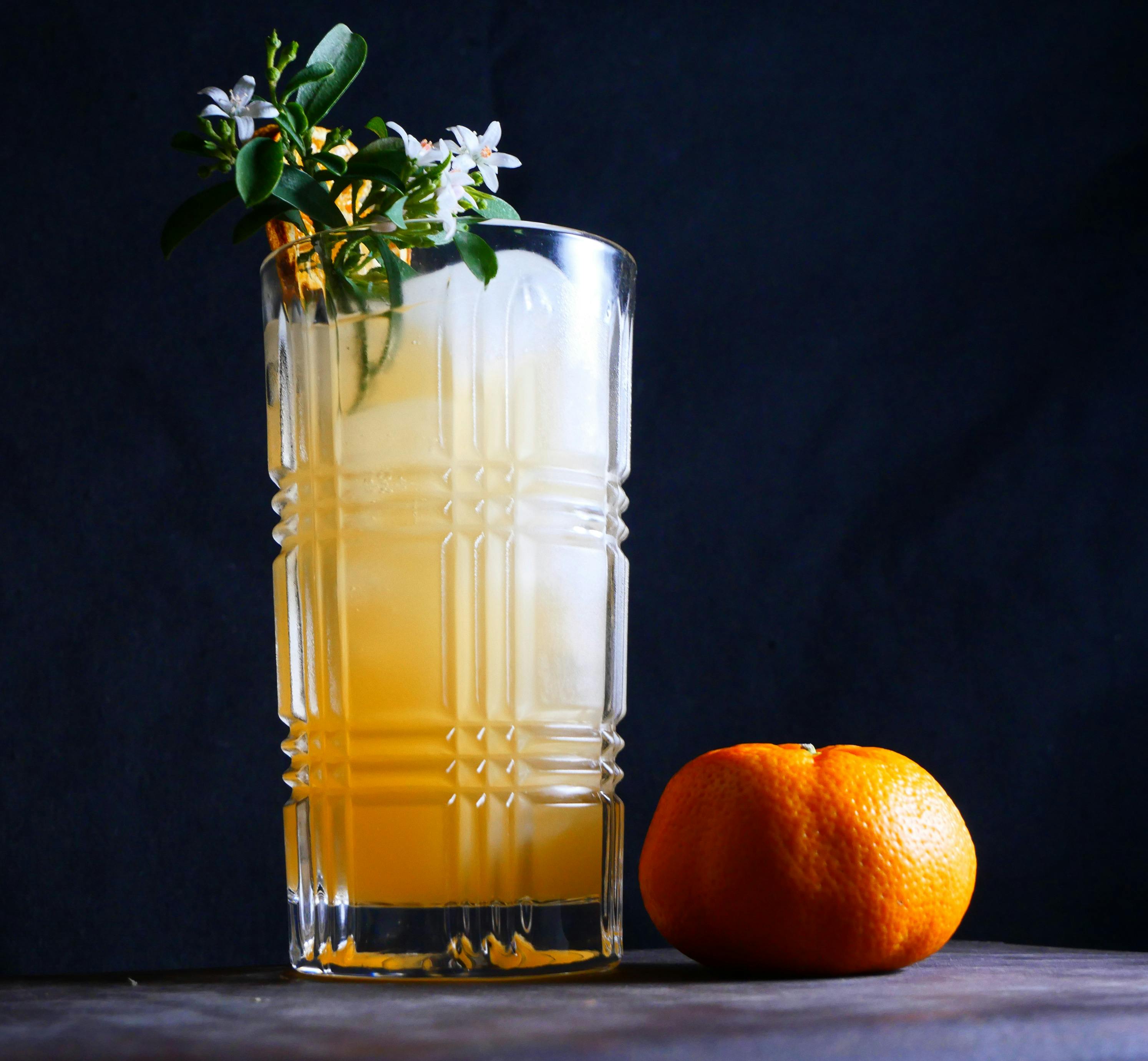 Cocktail in a tall glass with a mandarin.