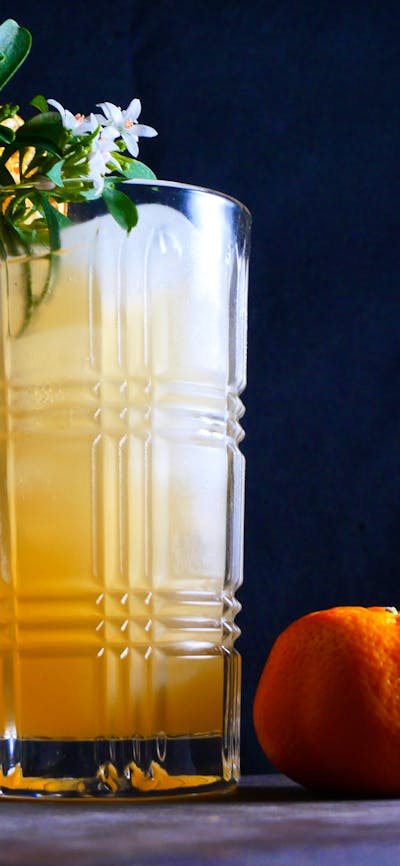 Cocktail in a tall glass with a mandarin.