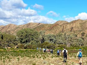 Big Heart Adventures wellness walks and hikes in the Flinders Ranges